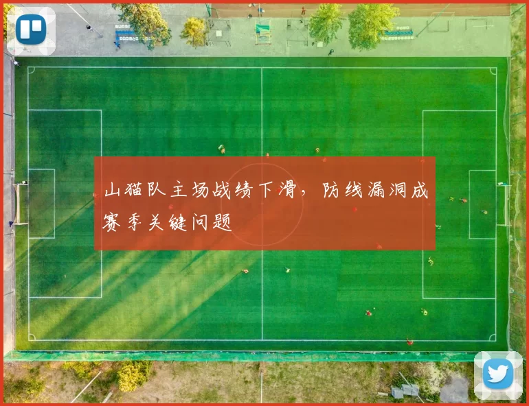 山猫队主场战绩下滑,防线漏洞成赛季关键问题