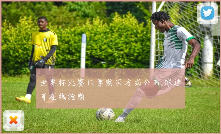 世界杯比赛门票购买方式公布 球迷可在线抢购