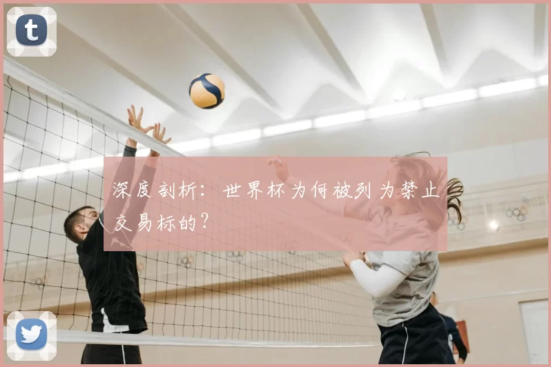 深度剖析:世界杯为何被列为禁止交易标的?