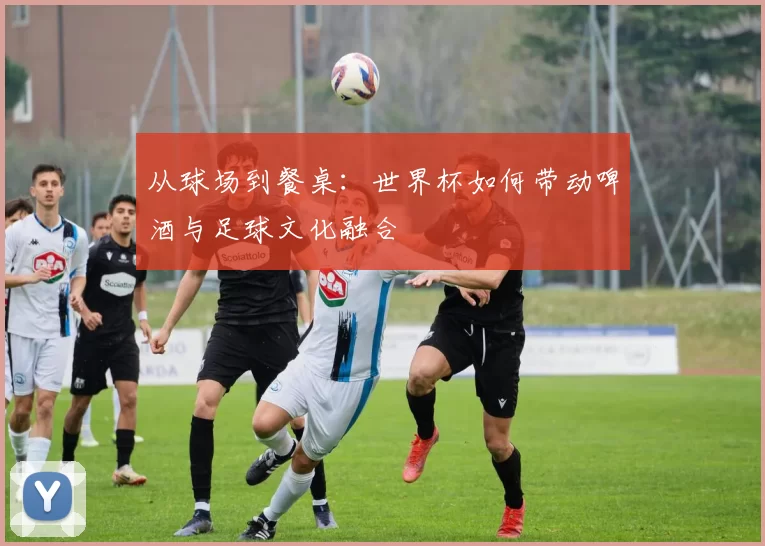 从球场到餐桌:世界杯如何带动啤酒与足球文化融合