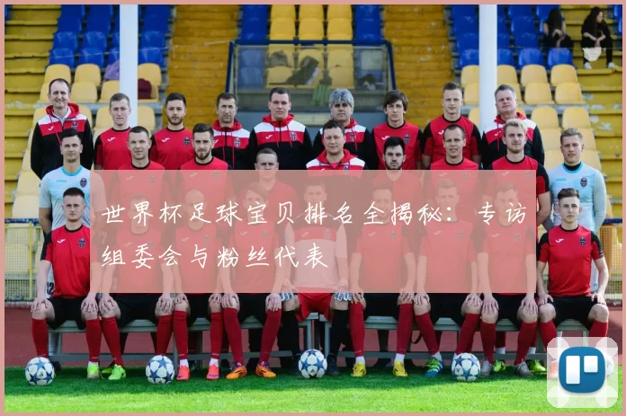 世界杯足球宝贝排名全揭秘:专访组委会与粉丝代表