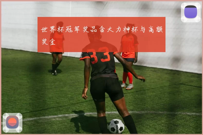 世界杯冠军奖品含大力神杯与高额奖金