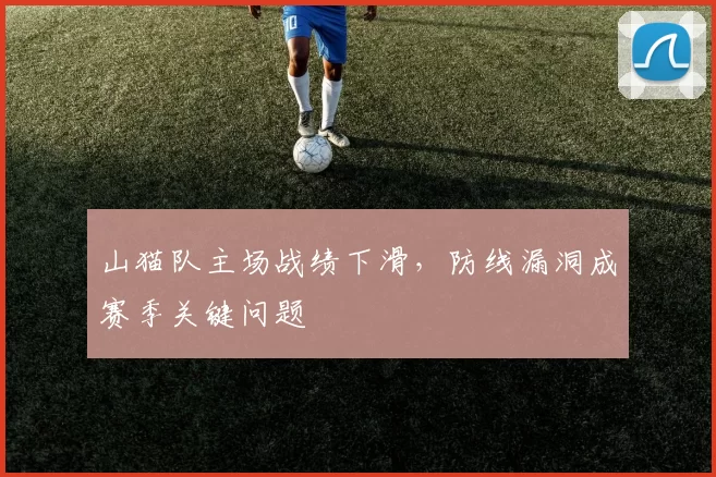山猫队主场战绩下滑,防线漏洞成赛季关键问题