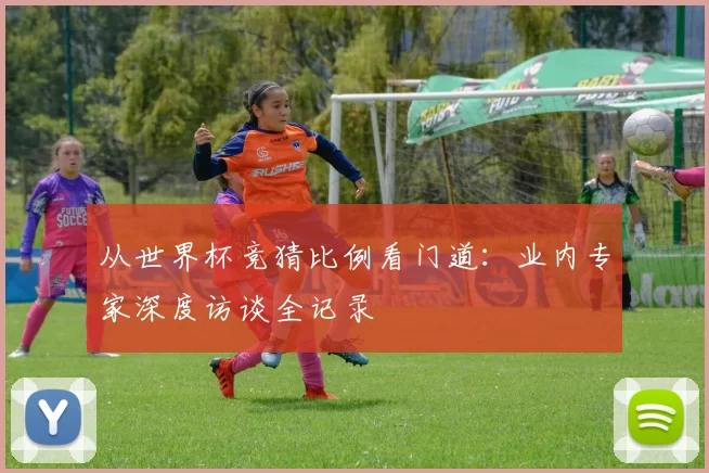从世界杯竞猜比例看门道：业内专家深度访谈全记录