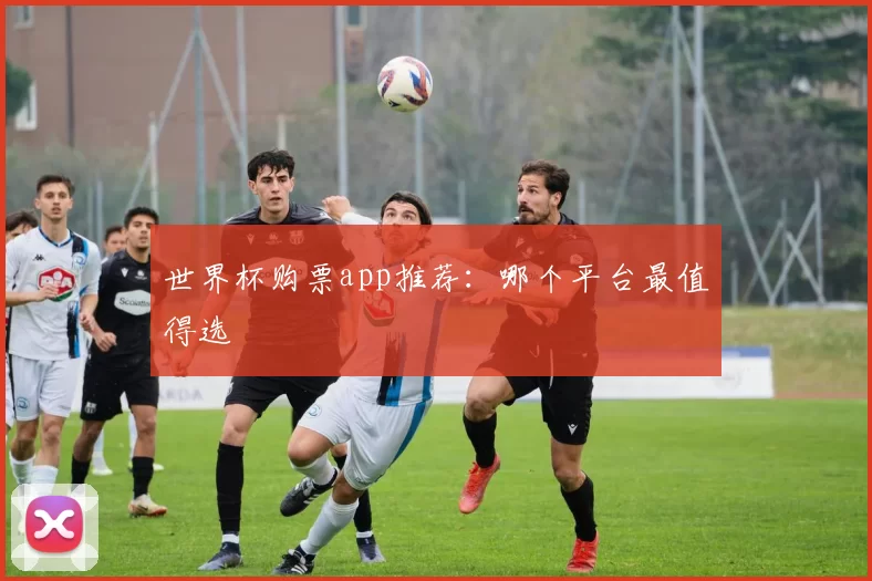 世界杯购票app推荐:哪个平台最值得选