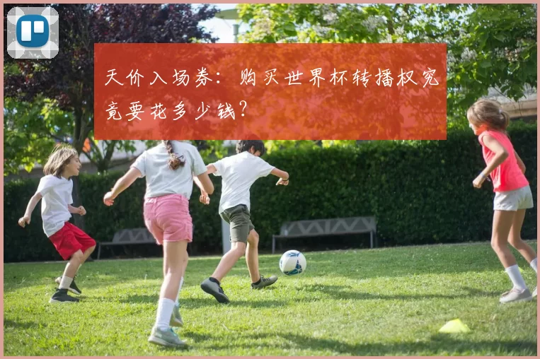 天价入场券:购买世界杯转播权究竟要花多少钱?