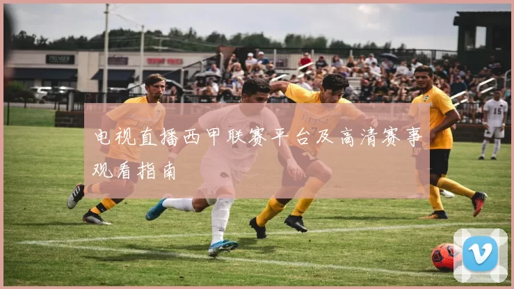 电视直播西甲联赛平台及高清赛事观看指南