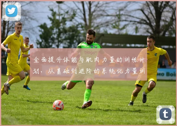 全面提升体能与肌肉力量的训练计划，从基础到进阶的系统化力量训练指南
