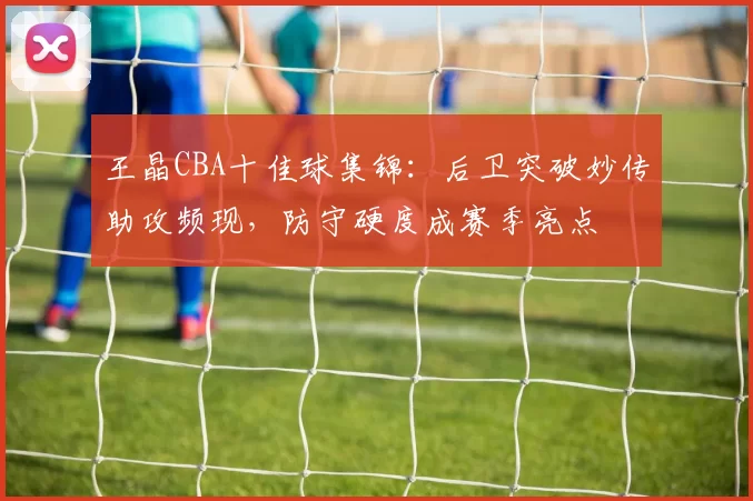 王晶CBA十佳球集锦：后卫突破妙传助攻频现，防守硬度成赛季亮点